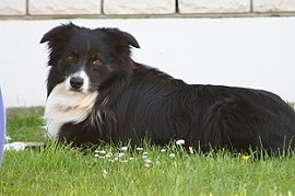 Bild 004