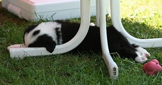 Bild 011
