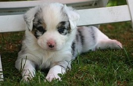 Bild 013