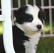 Bild 022