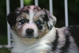 Bild 028
