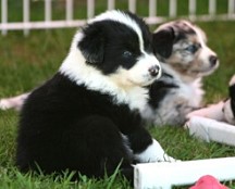 Bild 076