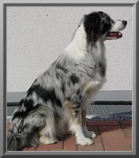 Flocke rechts