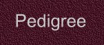Pedigree